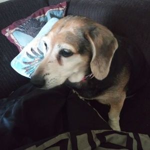 Meet your Posher, Shane